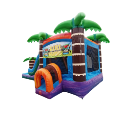 Tiki20Plunge20Combo20DL20DP20Back Photoroom 1734634219 Paradise Palms Bounce & Slide